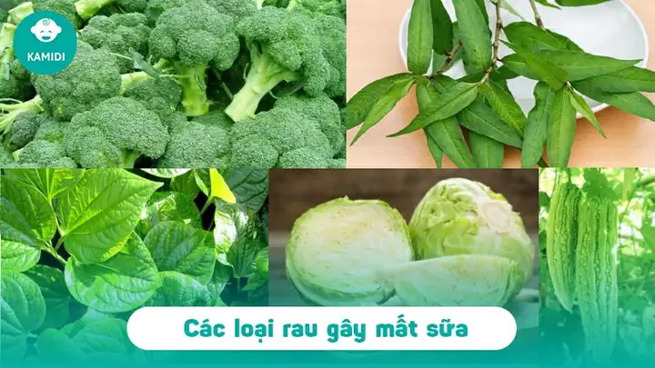Thực Phẩm Gây Mất Sữa Bà Đẻ: Danh Sách Kiêng Kỵ & Lời Khuyên Từ Chuyên Gia