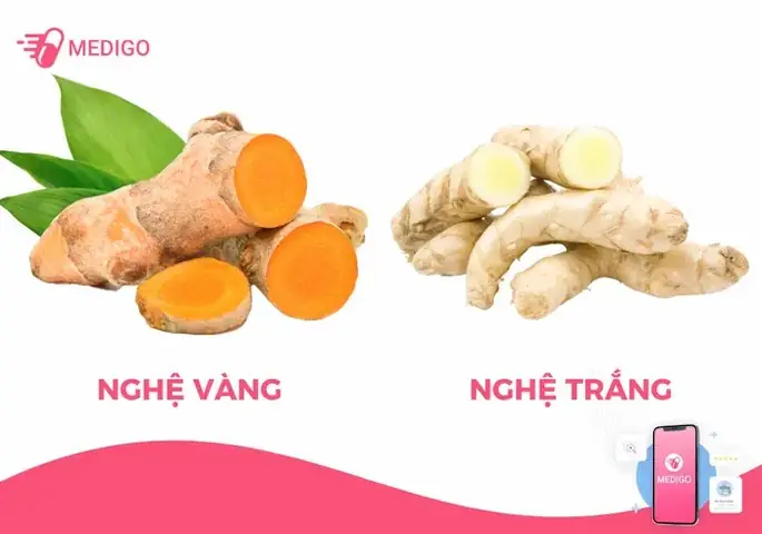 Tinh Bột Nghệ Trắng Hay Vàng Tốt Hơn: So Sánh Chi Tiết Công Dụng & Lựa Chọn Thông Minh Tinh Bột Nghệ Trắng Hay Vàng Tốt Hơn: So Sánh Chi Tiết Công Dụng & Lựa Chọn Thông Minh