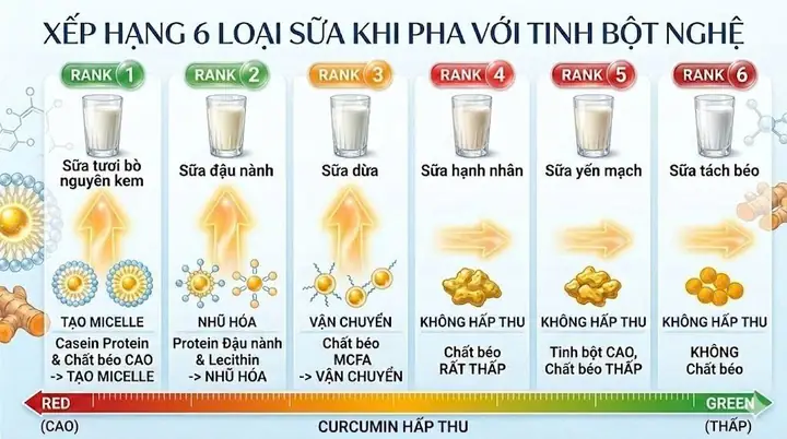 Uống Tinh Bột Nghệ Với Sữa Không Đường Đúng Cách: Đẹp Da, Giảm Cân & Tốt Cho Sức Khỏe Uống Tinh Bột Nghệ Với Sữa Không Đường Đúng Cách: Đẹp Da, Giảm Cân & Tốt Cho Sức Khỏe