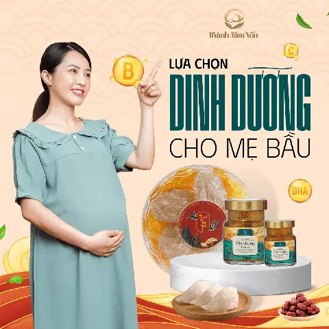 Tổ Yến Có Tốt Cho Bà Bầu Không? Lợi Ích, Thời Điểm & Cách Dùng An Toàn