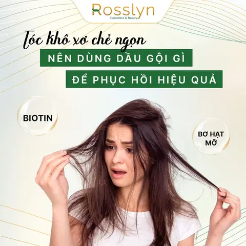 Tóc Khô Xơ Nên Dùng Dầu Gội Gì? Top 10+ Sản Phẩm Phục Hồi Tóc Tốt Nhất 2026 Tóc Khô Xơ Nên Dùng Dầu Gội Gì? Top 10+ Sản Phẩm Phục Hồi Tóc Tốt Nhất 2026