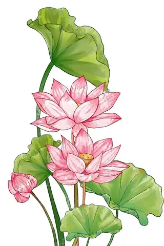 Hướng Dẫn Vẽ Hoa Sen Đơn Giản Mà Đẹp: Bí Quyết Cho Người Mới Bắt Đầu