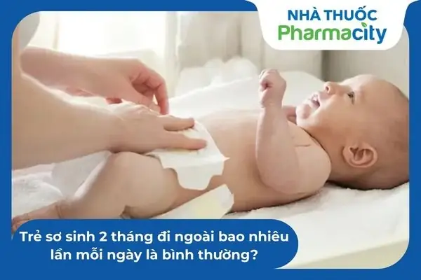 Trẻ 2 Tháng Tuổi Đi Ngoài Bao Nhiêu Lần Là Bình Thường? Hướng Dẫn Chăm Sóc Từ Chuyên Gia Trẻ 2 Tháng Tuổi Đi Ngoài Bao Nhiêu Lần Là Bình Thường? Hướng Dẫn Chăm Sóc Từ Chuyên Gia