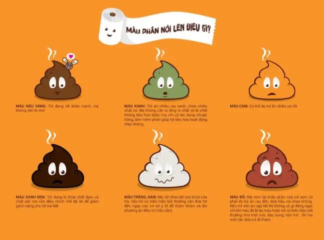 Trẻ 2 Tháng Tuổi Đi Ngoài Bao Nhiêu Lần Là Bình Thường? Hướng Dẫn Chăm Sóc Từ Chuyên Gia Trẻ 2 Tháng Tuổi Đi Ngoài Bao Nhiêu Lần Là Bình Thường? Hướng Dẫn Chăm Sóc Từ Chuyên Gia