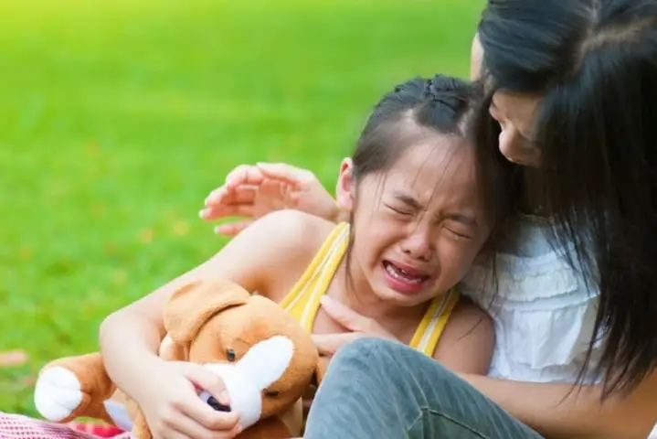 Trẻ 2 Tuổi Hay Quấy Khóc Ăn Vạ: Nguyên Nhân Sâu Xa & Bí Quyết Xử Lý Hiệu Quả Trẻ 2 Tuổi Hay Quấy Khóc Ăn Vạ: Nguyên Nhân Sâu Xa & Bí Quyết Xử Lý Hiệu Quả