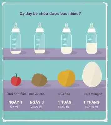 Trẻ 3 Tháng Tuổi Nên Bú Bao Nhiêu Là Đủ? Hướng Dẫn Chi Tiết Theo Từng Tuần Tuổi