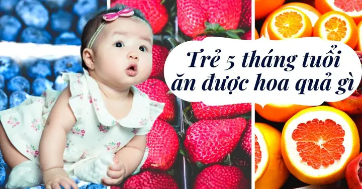 Trẻ 5 Tháng Tuổi Ăn Được Hoa Quả Gì: Danh Sách Trái Cây An Toàn Và Lợi Ích