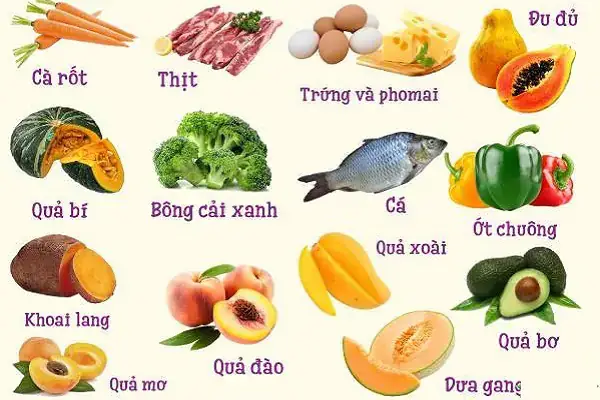 Bé 7 Tháng Ăn Dặm Được Gì & Nên Ăn Gì Để Tối Ưu Phát Triển Bé 7 Tháng Ăn Dặm Được Gì & Nên Ăn Gì Để Tối Ưu Phát Triển
