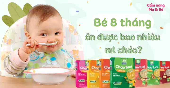 Trẻ 8 Tháng Tuổi Ăn Bao Nhiêu Là Đủ? Lịch Ăn Dặm Chuẩn & Lưu Ý Vàng Cho Mẹ