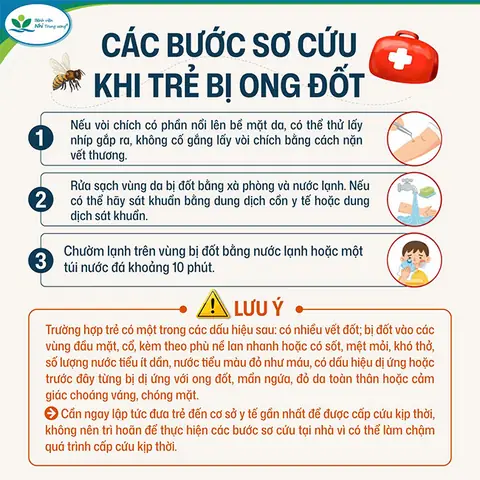 Trẻ Bị Ong Đốt Phát Sốt: Nguyên Nhân, Dấu Hiệu Và Cách Xử Lý An Toàn Trẻ Bị Ong Đốt Phát Sốt: Nguyên Nhân, Dấu Hiệu Và Cách Xử Lý An Toàn