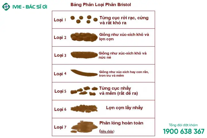 Trẻ Mới Ăn Dặm Bị Táo Bón: Nguyên Nhân, Dấu Hiệu Và Cách Xử Lý Hiệu Quả Cho Bé