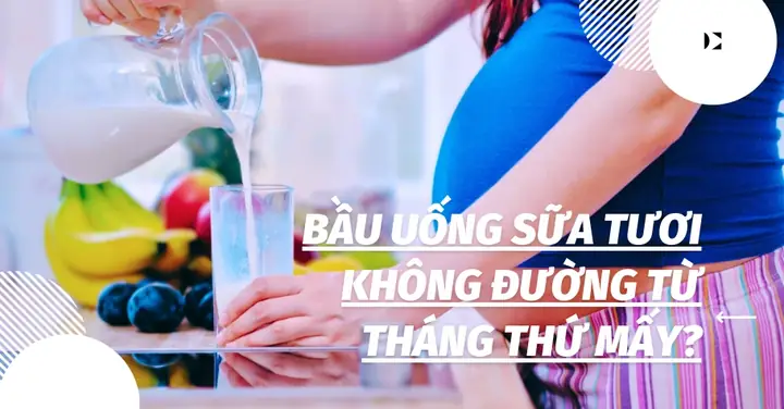 Bao Lâu Thì Nên Uống Sữa Bà Bầu Để Tốt Nhất Cho Mẹ & Thai Nhi?