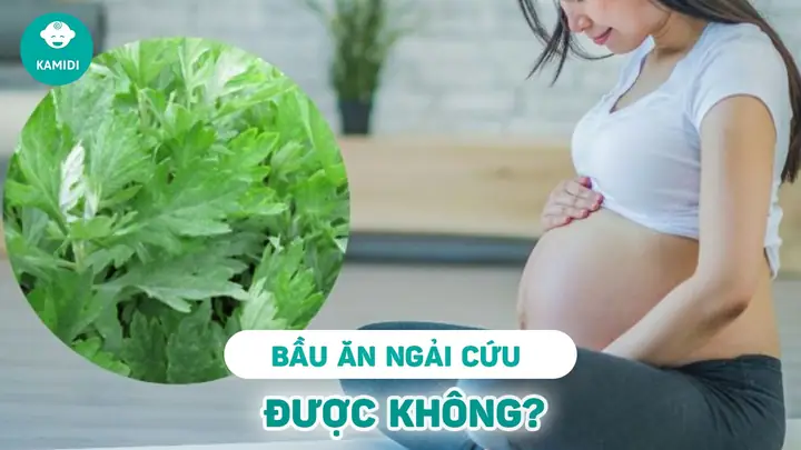 Uống Ngải Cứu Khi Mang Thai: Bà Bầu Có Nên Sử Dụng & Những Rủi Ro Cần Biết