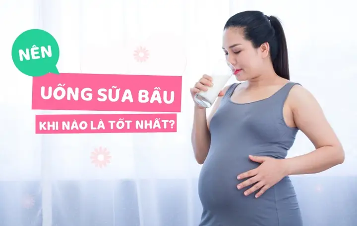 Uống Sữa Bầu Tháng Thứ Mấy Là Tốt Nhất: Thời Điểm Vàng Và Lợi Ích Cho Mẹ & Bé