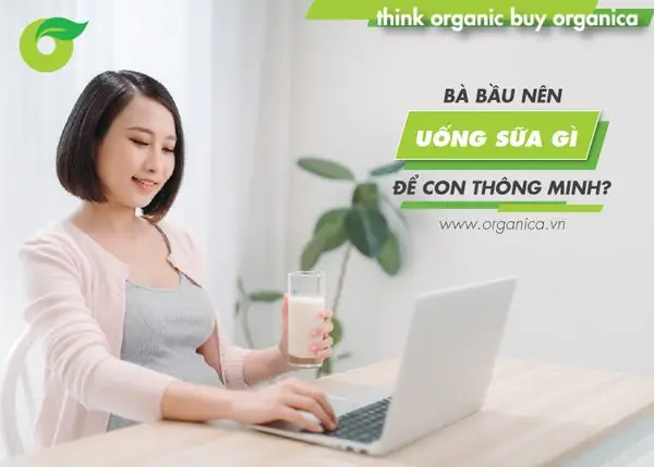 Uống Sữa Gì Để Con Thông Minh? Top Sữa Phát Triển Trí Não Tốt Nhất 2026