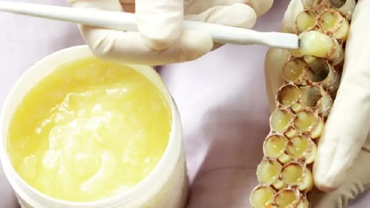 Uống Sữa Ong Chúa Có Mập Không: Giải Đáp Chi Tiết & Lời Khuyên Từ Chuyên Gia
