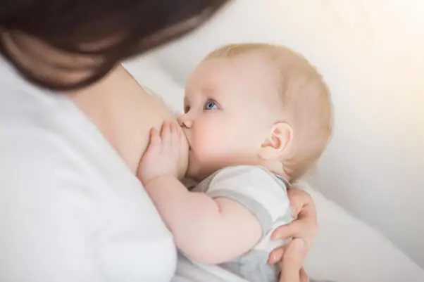 Vì Sao Dê Mẹ Không Cho Con Bú Và Cách Xử Lý Hiệu Quả Vì Sao Dê Mẹ Không Cho Con Bú Và Cách Xử Lý Hiệu Quả