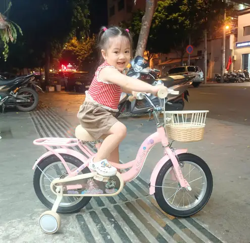 Top Xe Đạp Cho Bé 2 Tuổi: Hướng Dẫn Chọn Xe Tốt, An Toàn Và Phù Hợp