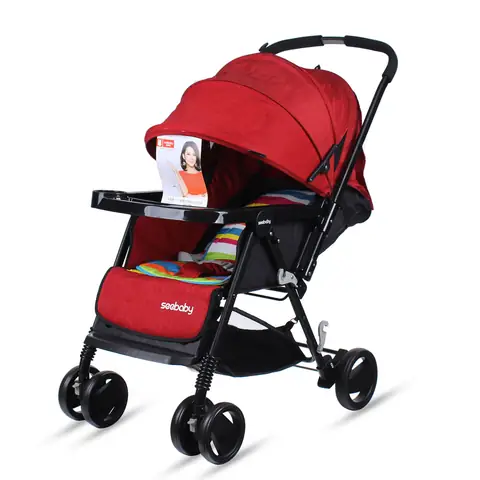Xe Đẩy Cho Bé 2 Chiều: Hướng Dẫn Chọn Mua Và Sử Dụng Toàn Diện