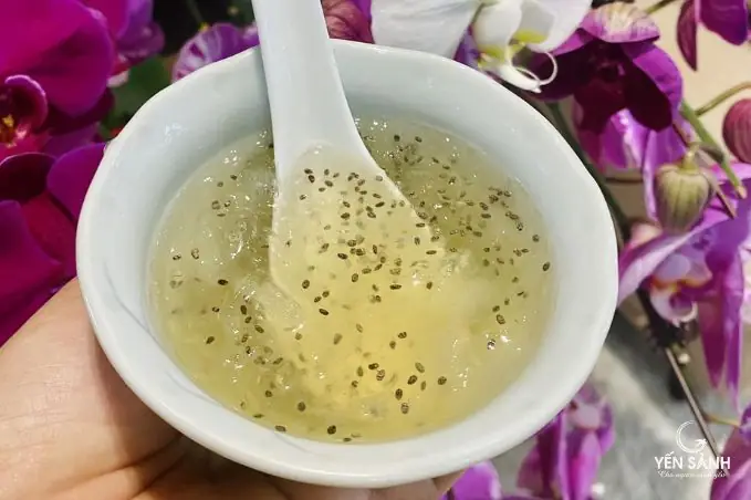 Yến Chưng Hạt Chia Để Được Bao Lâu? Hướng Dẫn Bảo Quản Chuẩn Giữ Trọn Dinh Dưỡng Yến Chưng Hạt Chia Để Được Bao Lâu? Hướng Dẫn Bảo Quản Chuẩn Giữ Trọn Dinh Dưỡng